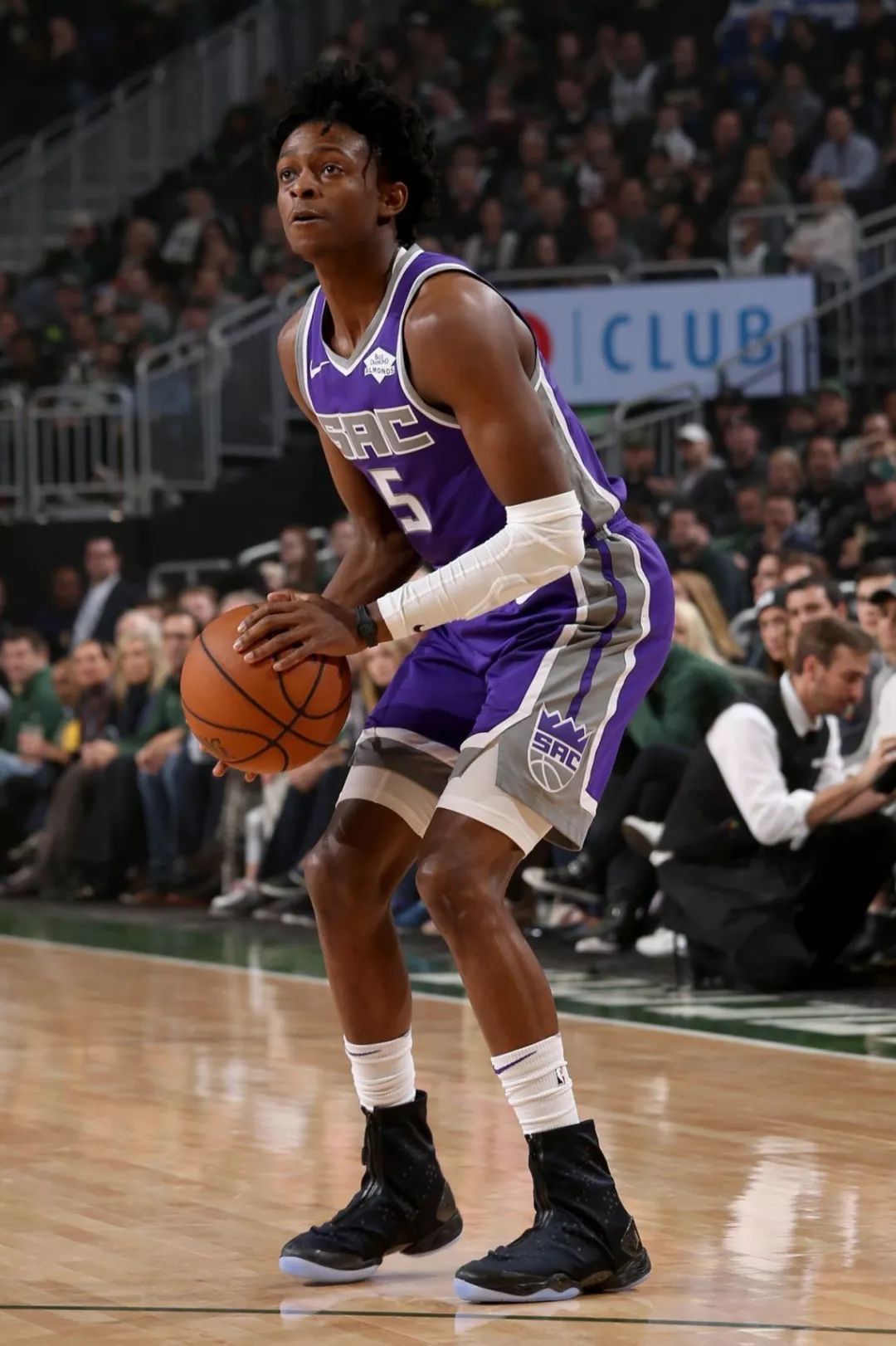 樊振东的归 樊振东的归