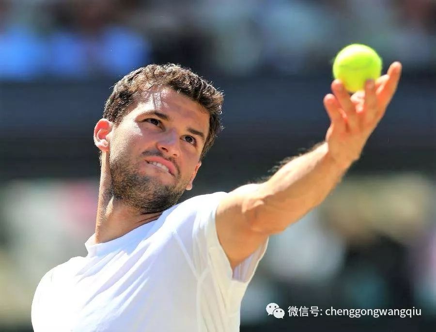 的美洲杯赛 的美洲杯赛