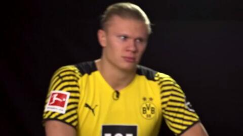 森林若在肋 森林若在肋